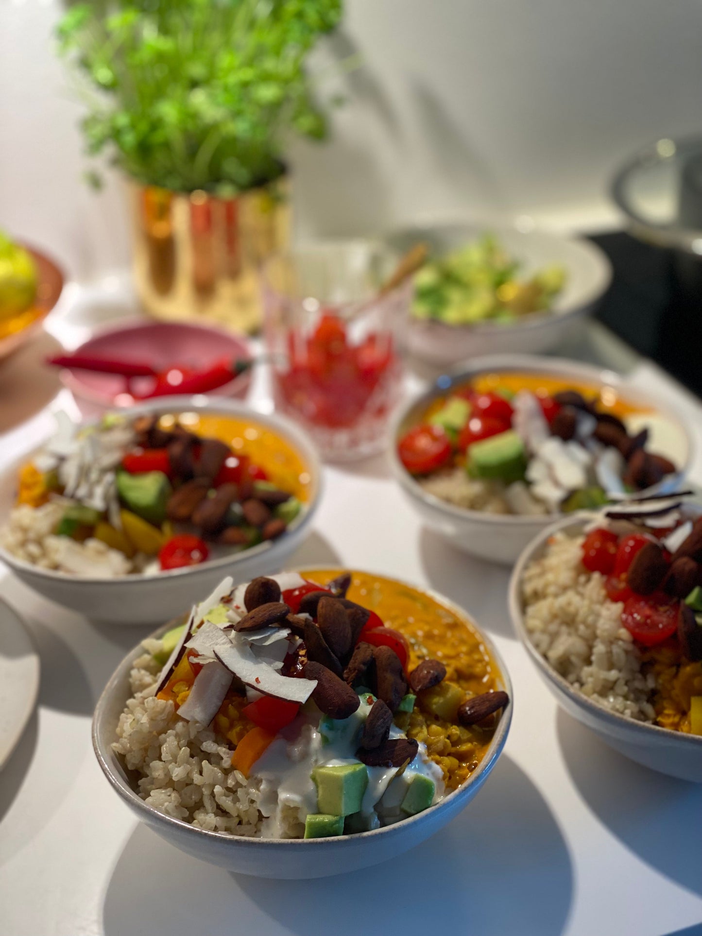 Planterig hverdag - Kogebog & Livsstil.